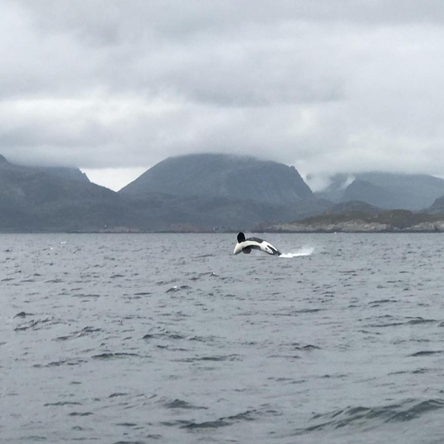 Fishermans Rorbu 3 - Lofoten Рамберг Екстериор снимка